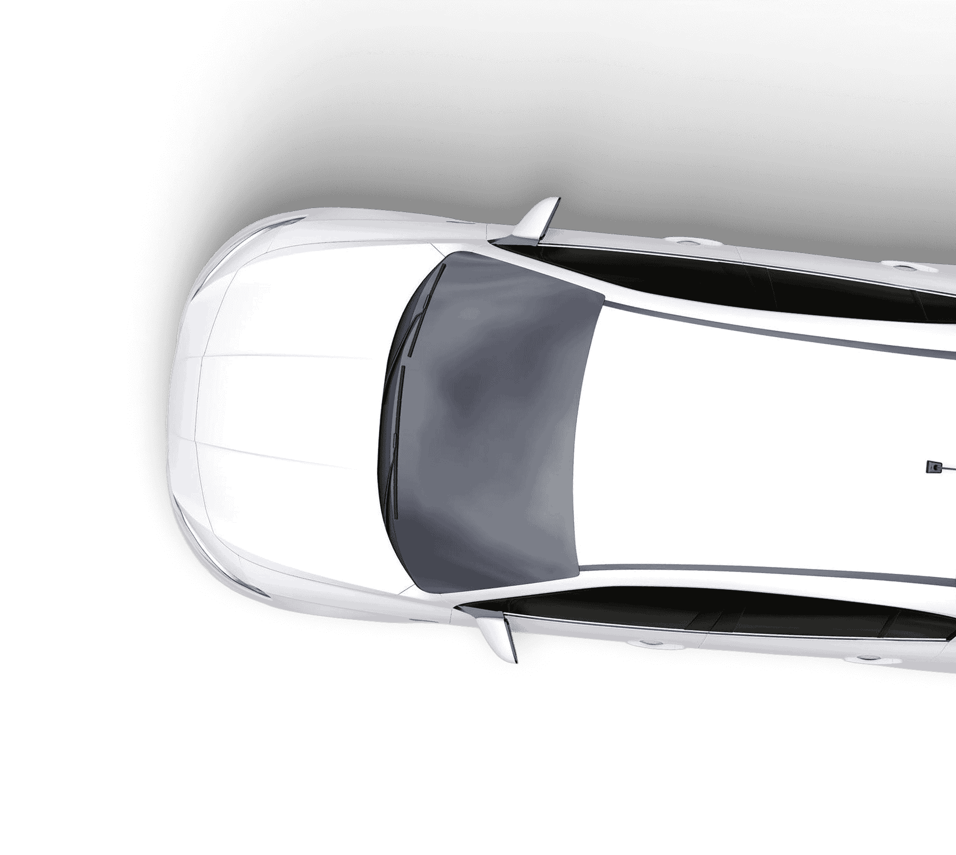 White Car