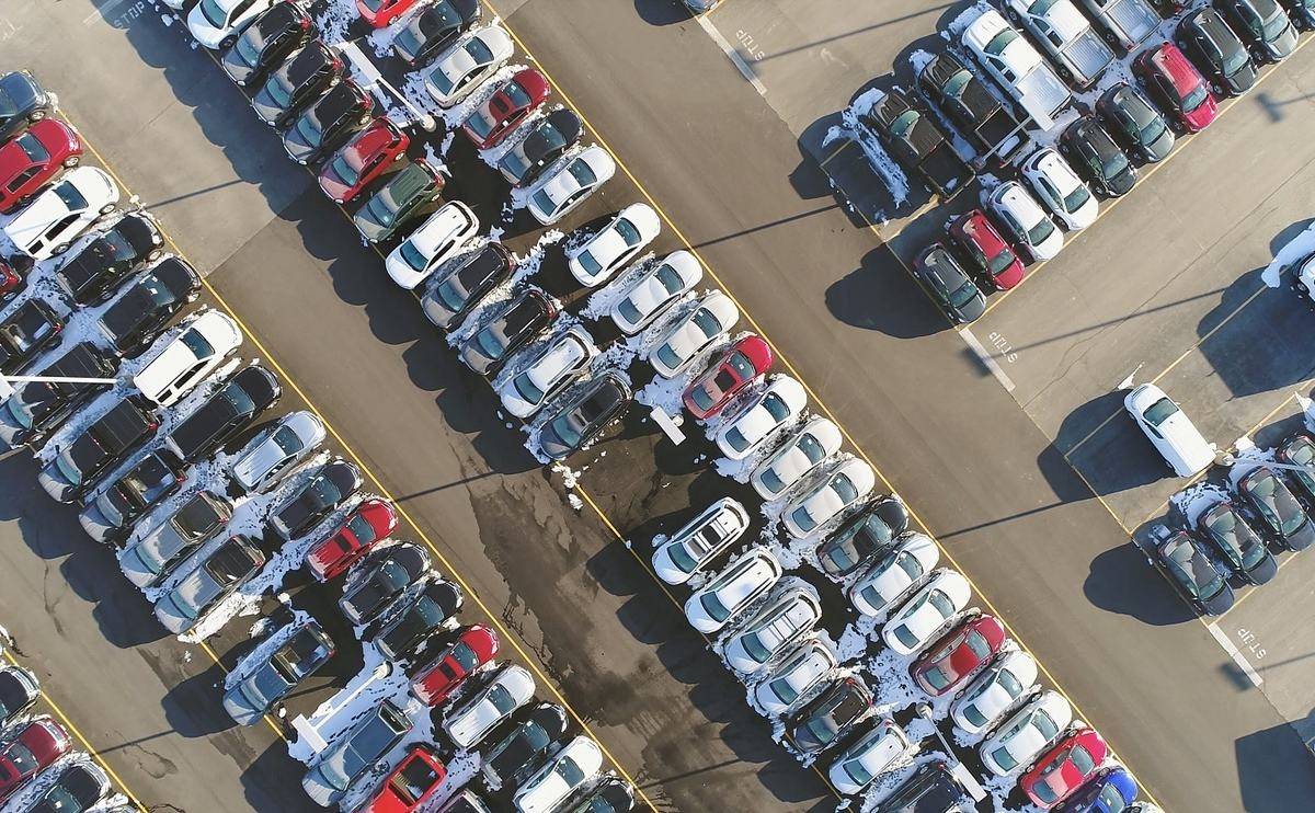 How to buy a car at hot sale auction without a dealer license