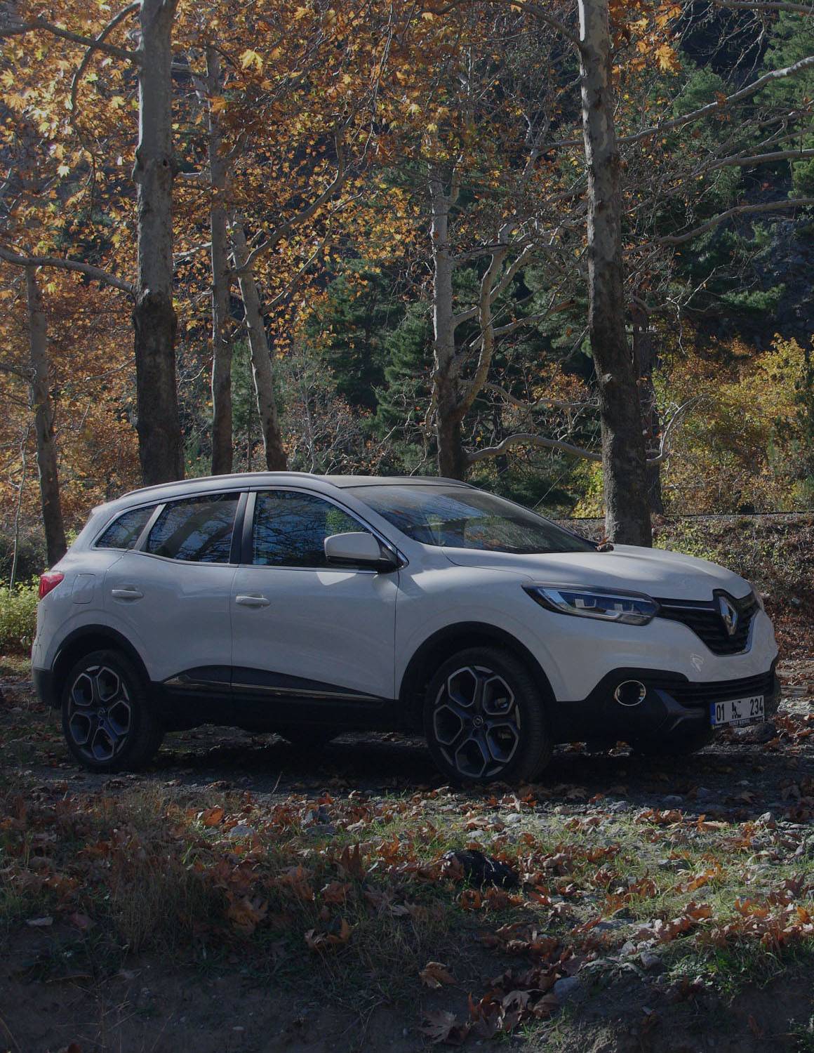 Compare Renault insurance costs for all models
