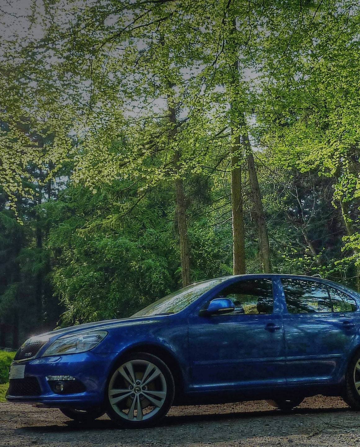 Compare Skoda insurance costs for all models