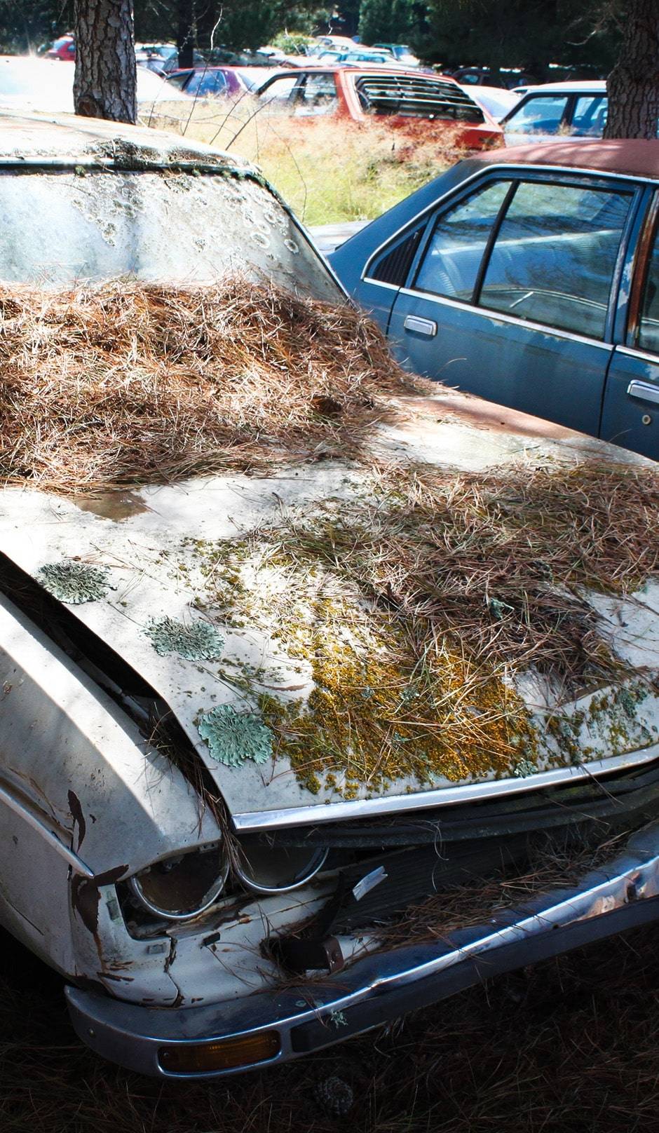 Scrap my Audi car