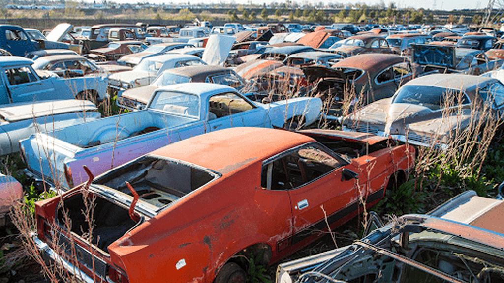 junk yard