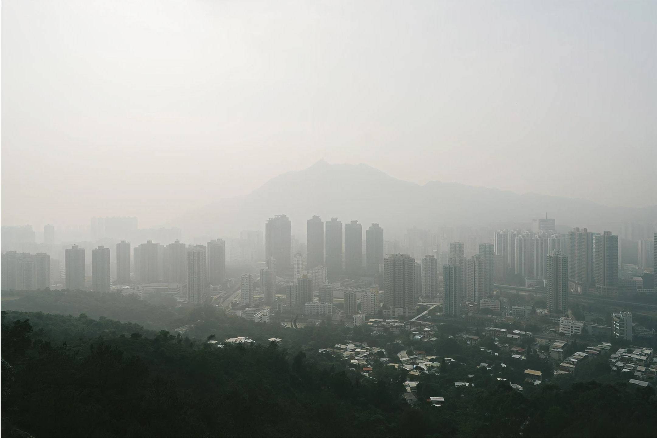 Environmental impact of diesel cars